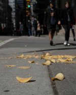 Mar 30-22-23.jpg Mar 30-22-23.jpg