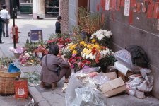 CS74AB07_Adj HK flower seller.jpg CS74AB07_Adj HK flower seller.jpg