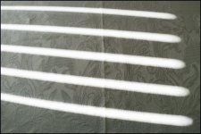 L1000218-DNG_DxO_DeepPRIME copy.jpg