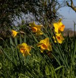 April-Shower.jpg April-Shower.jpg