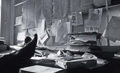 786_034_JPEG5.jpg 786_034_JPEG5.jpg