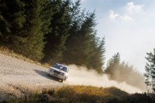 5G4A8180.jpg 5G4A8180.jpg