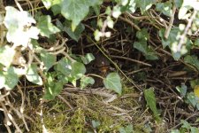 _4020838_DxO_ClVw_SmtLig_FF.jpg _4020838_DxO_ClVw_SmtLig_FF.jpg