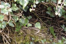 _4020905_DxO_ClVw_SmtLig_FF.jpg _4020905_DxO_ClVw_SmtLig_FF.jpg