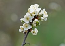 L1027681_DxO-L902-28-c.jpg L1027681_DxO-L902-28-c.jpg