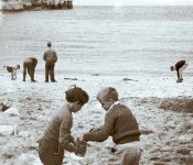 Untitled-1_JPEG5.jpg Untitled-1_JPEG5.jpg