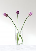 20220406-BCR_6953_1_week13.jpg 20220406-BCR_6953_1_week13.jpg