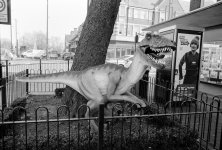 Jessops 510-Pyro 11.jpg Jessops 510-Pyro 11.jpg