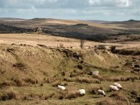 001 Vixen Tor 01-7314 PS Adj.JPG