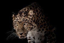 IMGL1677-Edit-1-FINAL Version.jpg