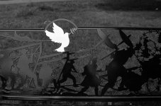 After CLA Test.jpg After CLA Test.jpg