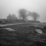 019 Dit House 11-7352 PS Adj.JPG