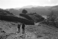 2203CPMXBW31A Barber scan.jpg