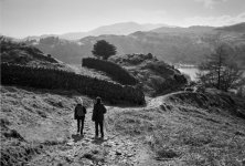 2203CPMXBW31A Barber processed.jpg