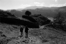 2203CPMXBW31B dmb scan.jpg