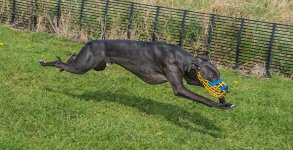 WEEK 15 - CHOICE.jpg