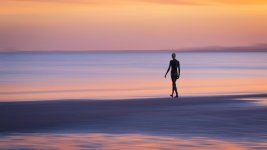 Week 15 - Minimalist.jpg