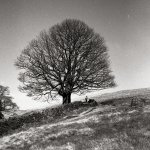 Solitude1.jpg Solitude1.jpg