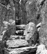 img800mod.jpg img800mod.jpg