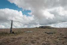 021 Beardown Man 03-7435 PS Adj.JPG