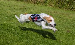 Winston -N5C_1555-sm.jpg