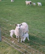 000002840032-copy-tp.jpg 000002840032-copy-tp.jpg