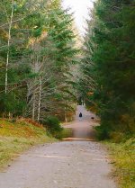 000021260005-copy-tp-copy-tp-final.jpg 000021260005-copy-tp-copy-tp-final.jpg