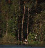 Tree2P4219868-1k2.jpg Tree2P4219868-1k2.jpg