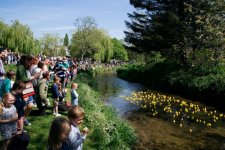 FH - Duck Race - 5 of 59 - A1207400.jpg