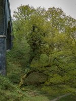 002a-1004108 PS Adj.JPG