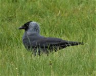 Send to Nat.JPG Send to Nat.JPG