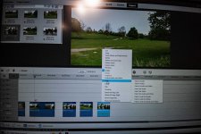 _DSC5585.jpg _DSC5585.jpg