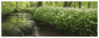 Low down dirty and stinking _1037200.jpg Low down dirty and stinking _1037200.jpg