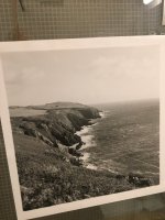 2FBEFD56-BCCE-4F82-9400-B94973631F83.jpeg 2FBEFD56-BCCE-4F82-9400-B94973631F83.jpeg