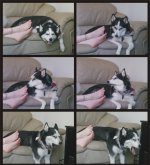 41CE3927-E8D1-4B56-B777-BD030A65B909.jpeg 41CE3927-E8D1-4B56-B777-BD030A65B909.jpeg