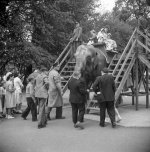 1681_007 copyJPEG5.jpg