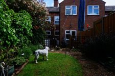 garden.JPG garden.JPG