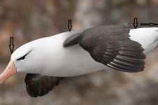 over cropped 1024.jpg