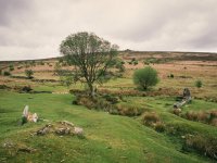 001 Tree and Ruins 01 40mm-73890001 PS Adj.JPG