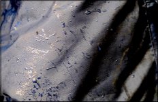 Wet jacket GH2 P1320205.JPG