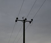 week 20 parallel.JPG