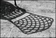 P5180866-RS.jpg P5180866-RS.jpg