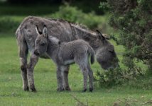 vafdvadf.jpg vafdvadf.jpg