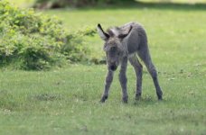 zxcvzxcvfzfr.jpg zxcvzxcvfzfr.jpg