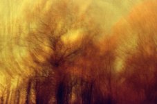 000022270028 Spinning.jpg