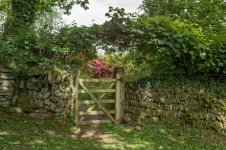 003 Gate 03-1004184 PS Adj.JPG