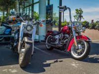 003 Harleys 03-1004189 PS Adj.JPG