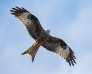 a6400 708.jpg a6400 708.jpg