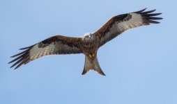 a6400 704.jpg a6400 704.jpg