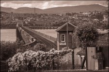 Week 20 Parallel.JPG